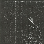 Demo 3