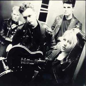 the darling buds