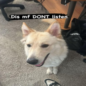 talk to youuuu