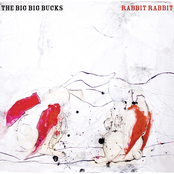 Rabbit Rabbit