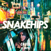 Snakehips: Cruel (feat. Zayn)