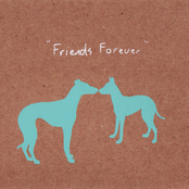friends forever