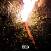 Torch