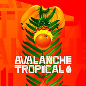 Avalanche Tropical
