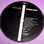Transilvania