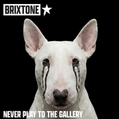 Never Play to the Gallery