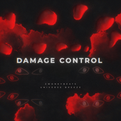 Damage Control (feat. Universe Breeze) - Single