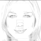 Horse Vision: Partly Get By