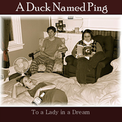 To a Lady in a Dream