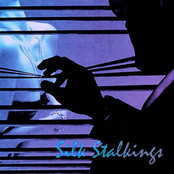 Silk Stalkings