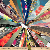 Asthmatic Kitty Digital Sampler, Summer 2013