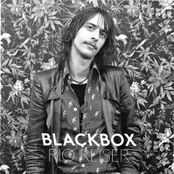 BLACKBOX