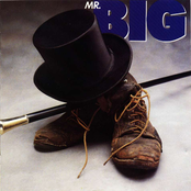 Big Love by Mr. Big