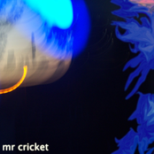Mr Cricket
