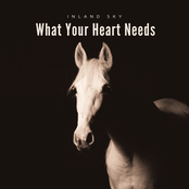 What Your Heart Needs