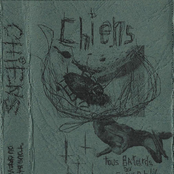 Tous Batards Ou Crevards