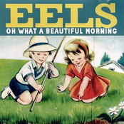 Feeling Good by Eels