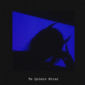 Te Quiero Mirar