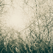 [ec193] None Title 2021