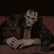 Alkol Duvarını Aşan Kediler Kütleleri Oranında Gözyaşına Dönüşürler