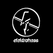 Elektrohasz 2008