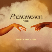 Phenomenon (Safa Liron Remix)