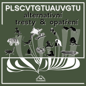 PLSCVTGTUAUVGTU — alternativní tresty & opatření