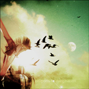 Coupons to Imagination