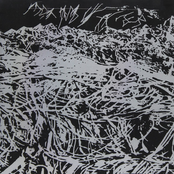 Expedition to the hairier peaks