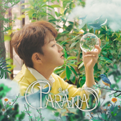신세계 : PARANA
