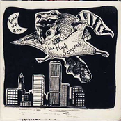 Hail Seizures - fucked up zoo  (2008)