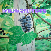 Wild North Tape.