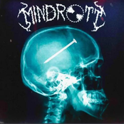 Mindrott: Not a Thought
