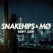 Snakehips: Don't Leave