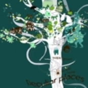 Peculiar Places (2008)