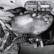 Rotting Defleshed Incarnosia Minch