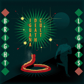 Bright Lights