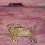 Thinking Hard To Overcome Nervousness