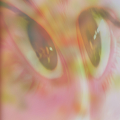 Postmodern Tango Love