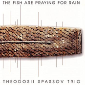 Fish Are Praying For Rain
