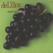 Festreligiøs by Delillos