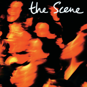 The Scene (Live)