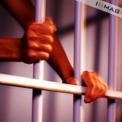 FBI Cold Case Series