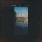 Caiola: Diving in After You