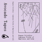 Luminous Fields of Emptiness and Calm