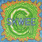 Skweeg