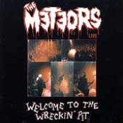 Wildthing by The Meteors