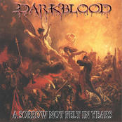 A Sorrow Not Felt In Years