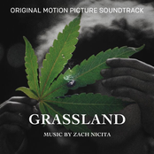 Grassland