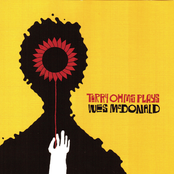 Terry Ohms: Terry Ohms Plays Wes McDonald